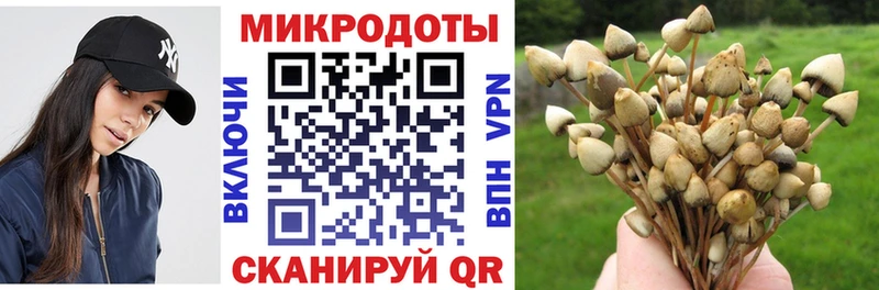 Галлюциногенные грибы мухоморы  Пучеж 